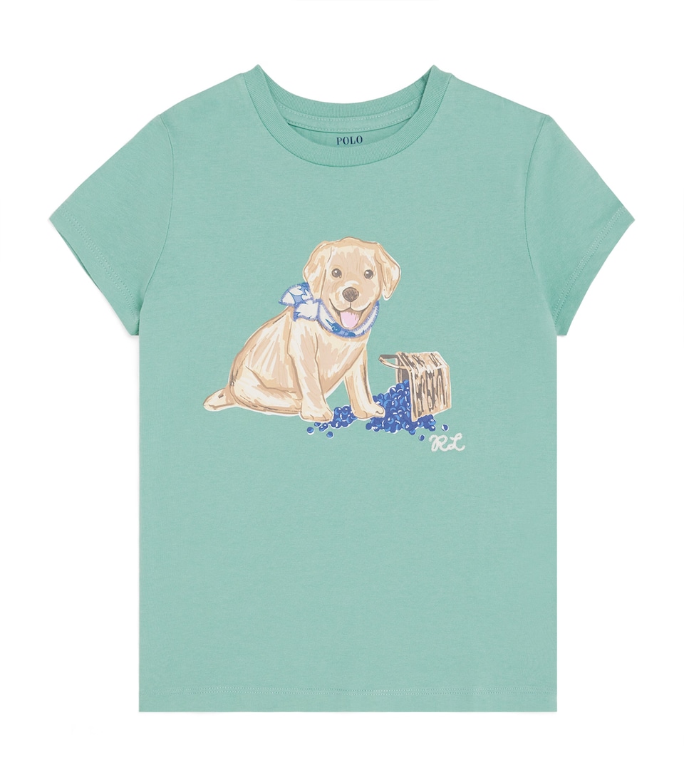 Cotton Printed T-Shirt (2-6 Years)