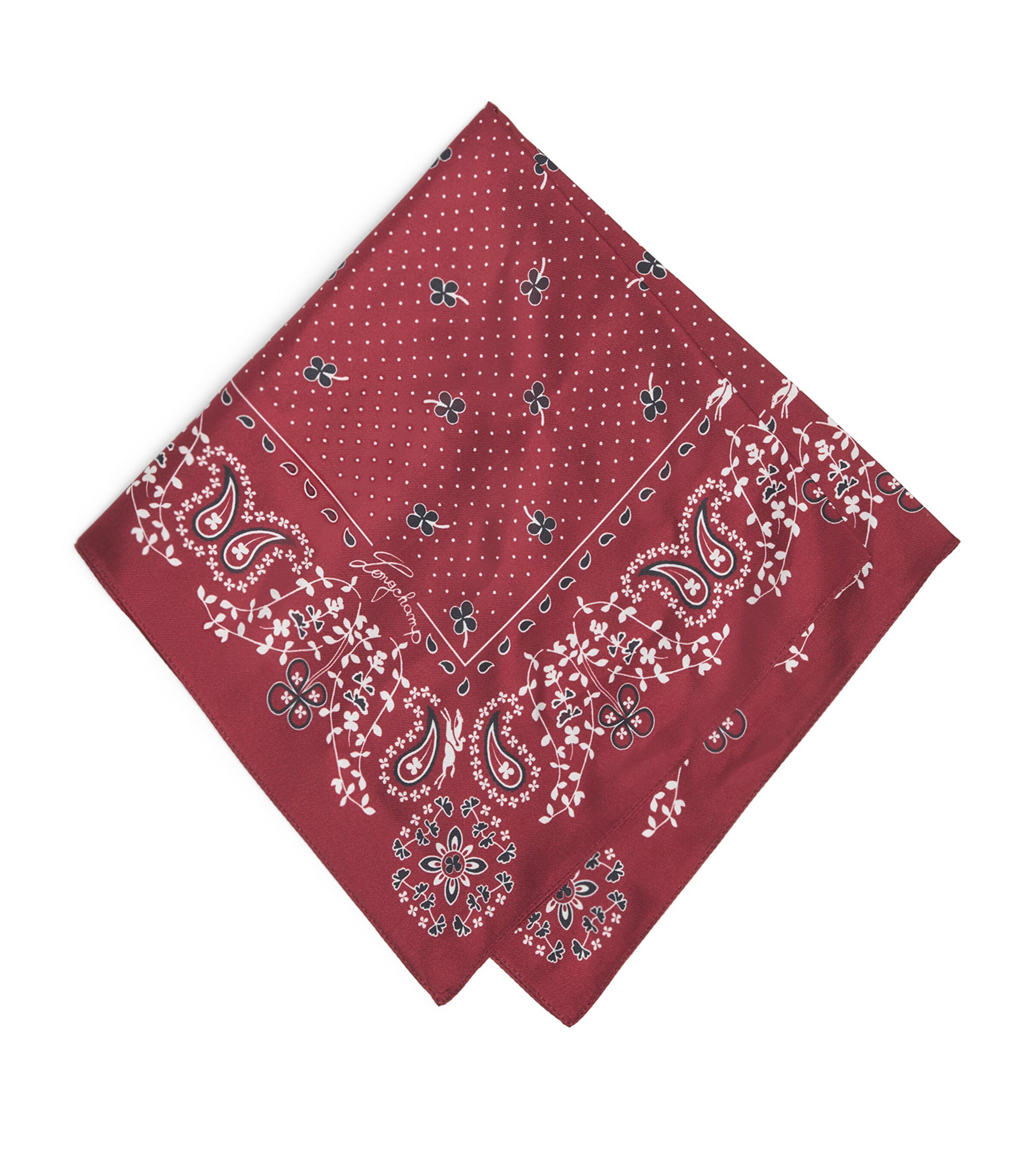 Silk Paisley Print Scarf