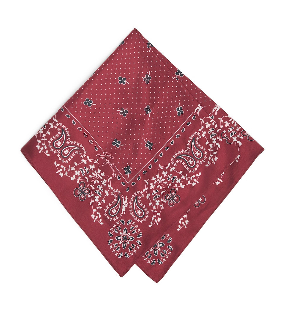 Silk Paisley Print Scarf
