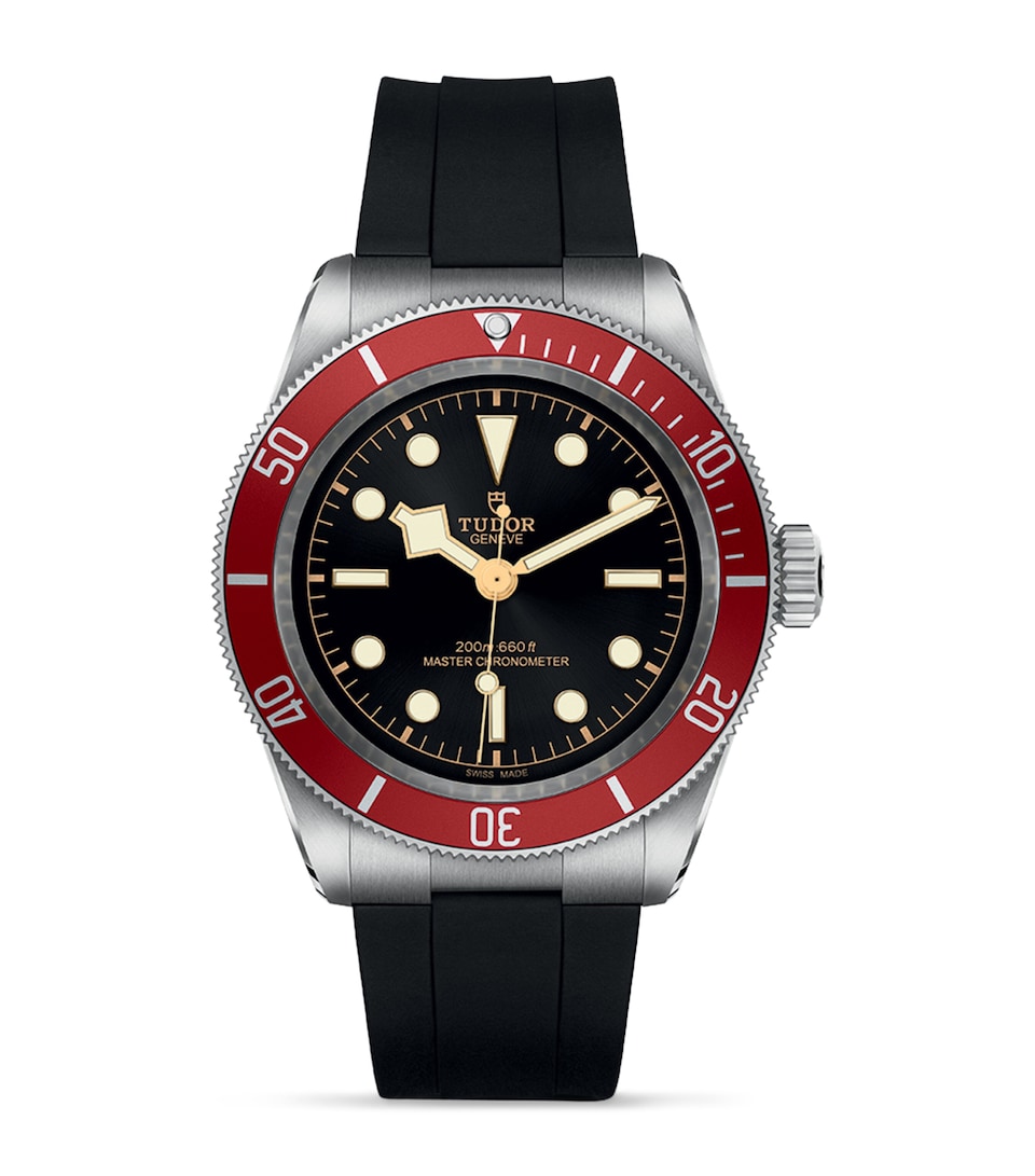 Stainless Steel Black Bay Watch 41mm