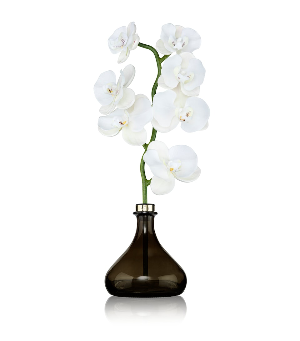 The Orchid Amber and Oud Diffuser (250ml)