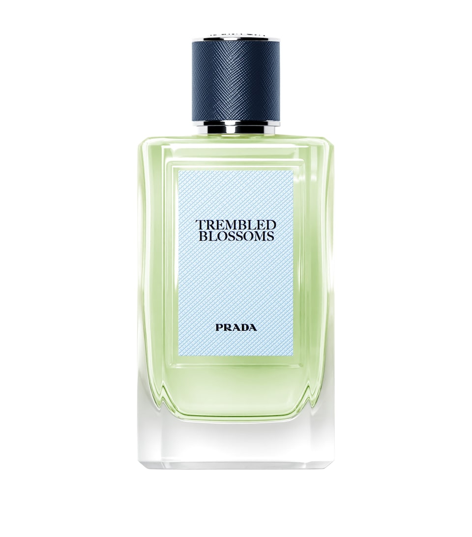 Prada Beauty Olfactories Trembled Blossom Eau de Parfum (100ml)