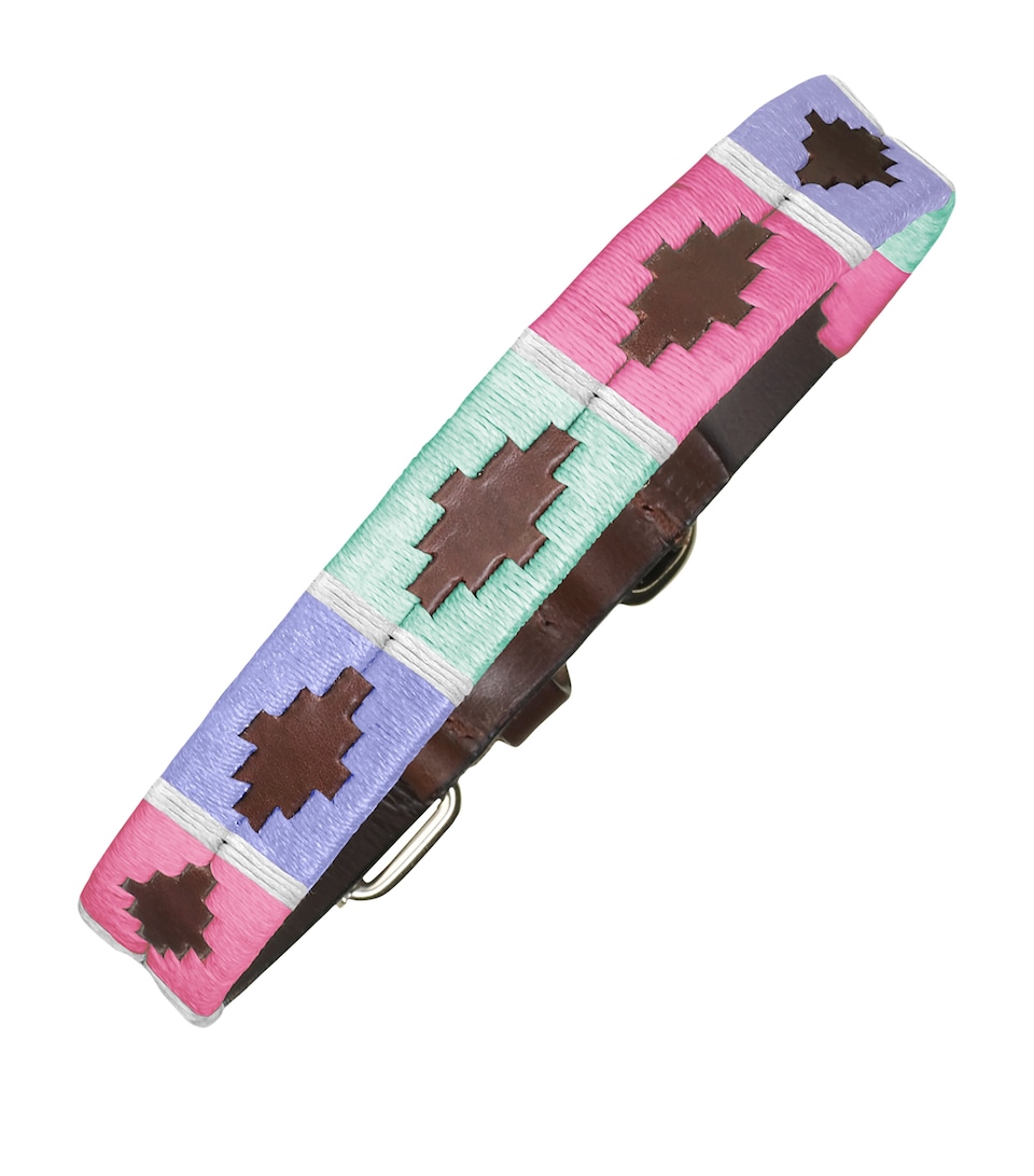 PAMPEANO Leather Verano Dog Collar (Large) Pink Purple Blue