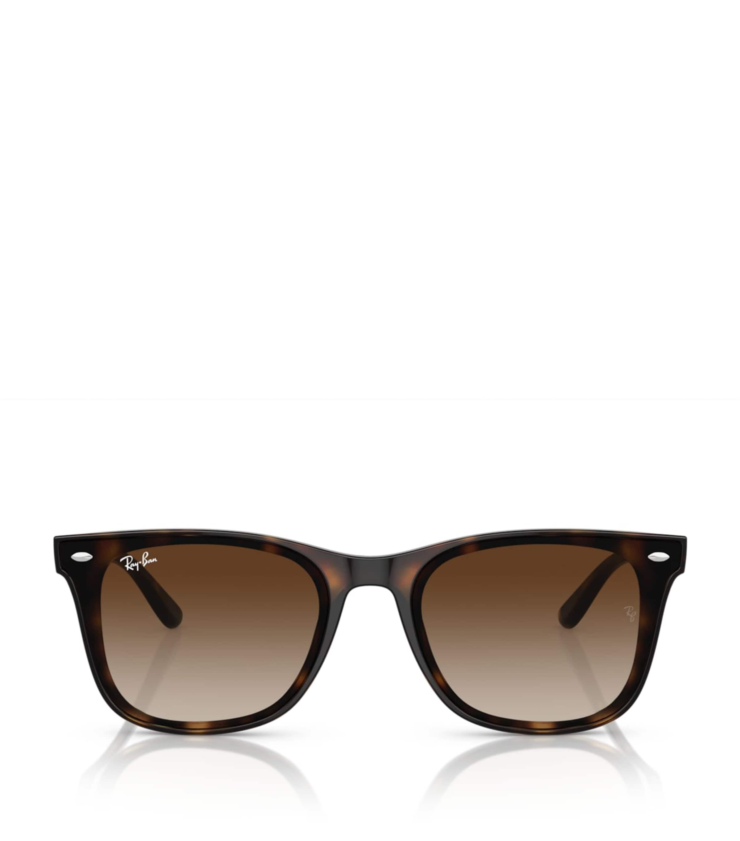 Ray-Ban Injected RB4420 Sunglasses