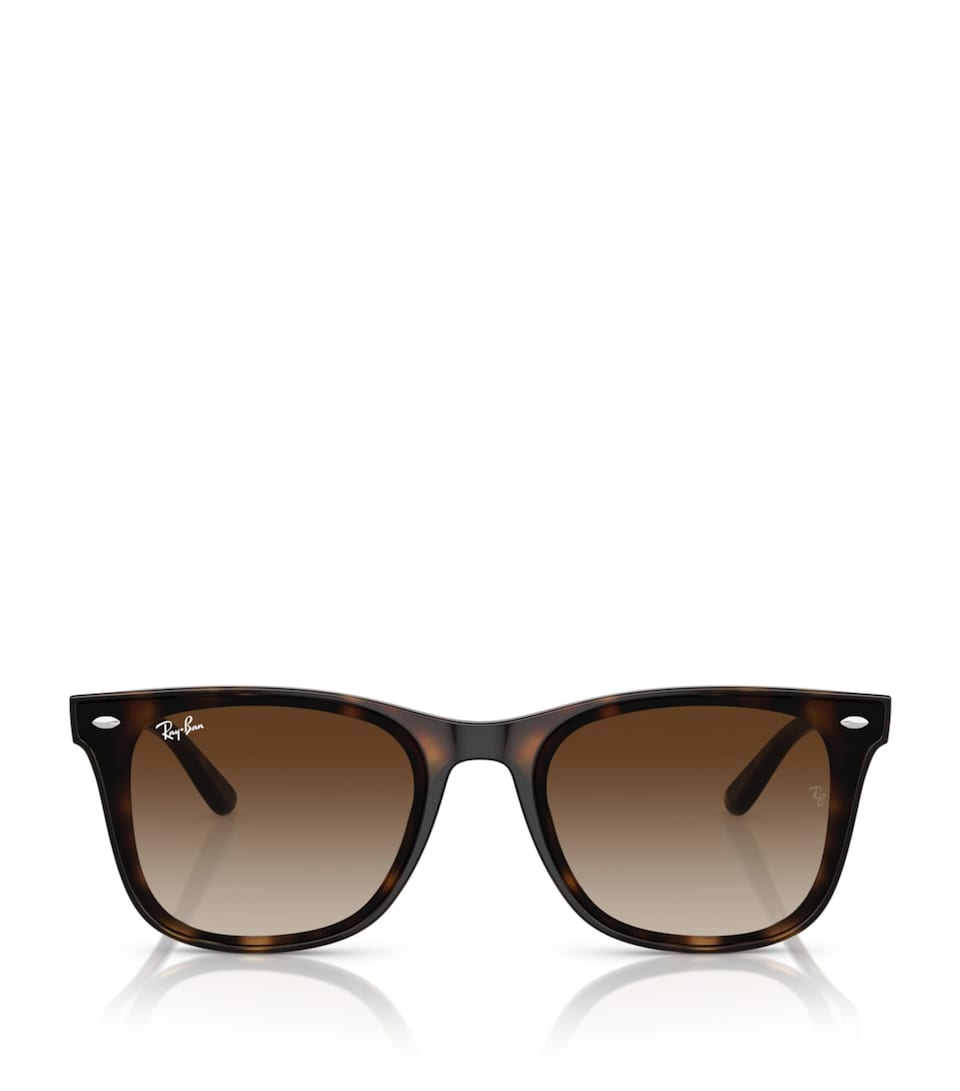 Ray-Ban Injected RB4420 Sunglasses