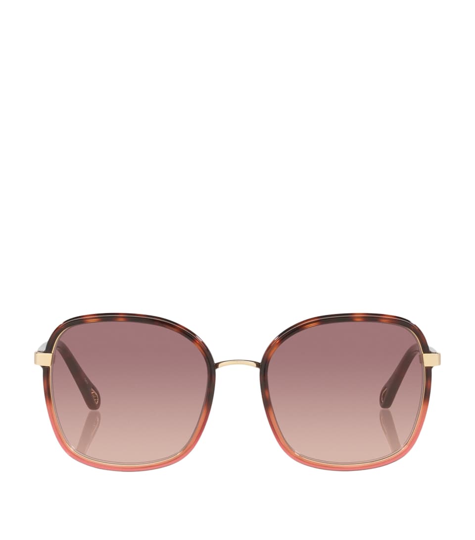 Chloé Injected Franky Square Sunglasses Brown