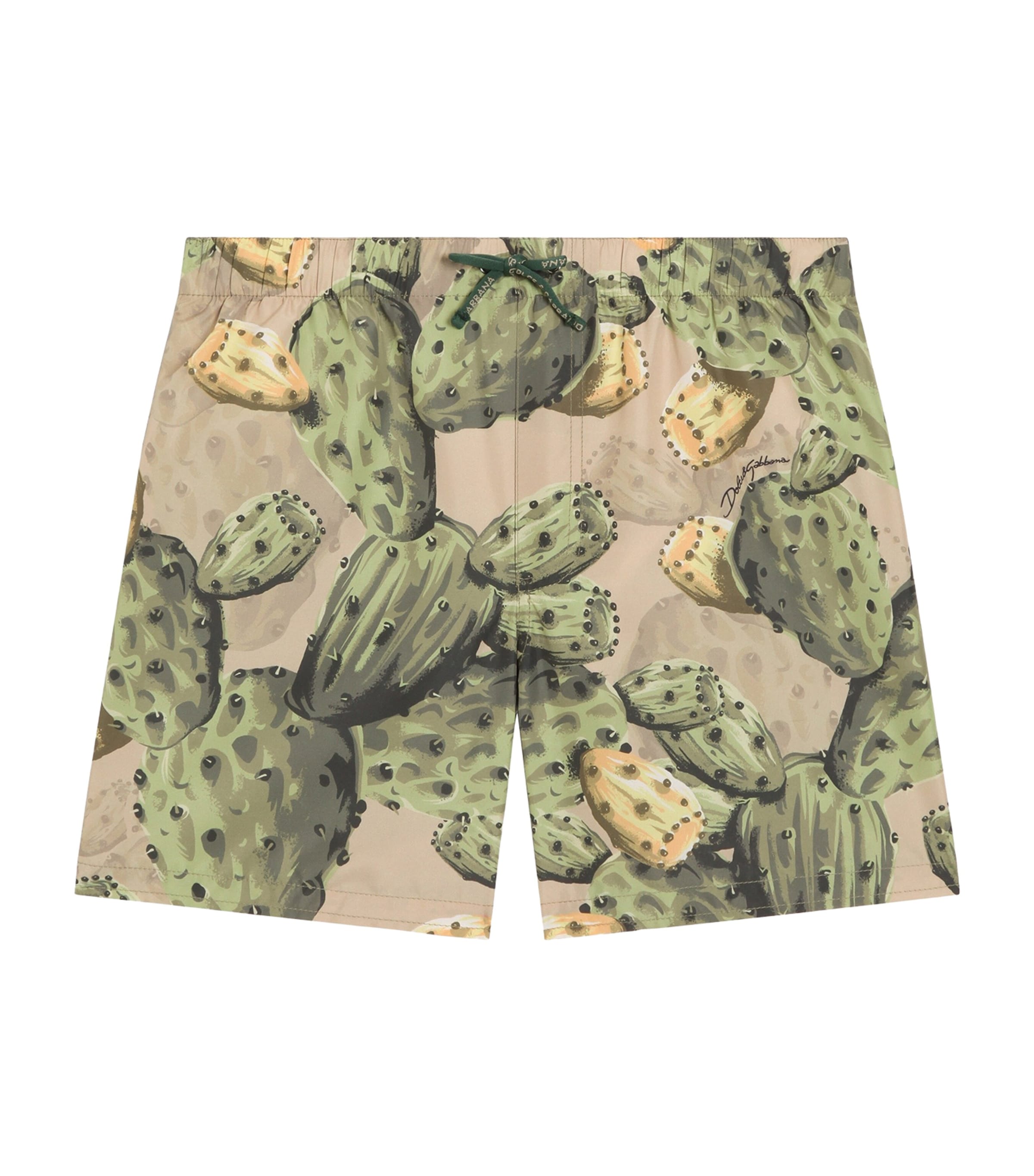 Dolce&Gabbana Kids Printed Swim Shorts (8-12+ Years) Fichi Fdo Pann