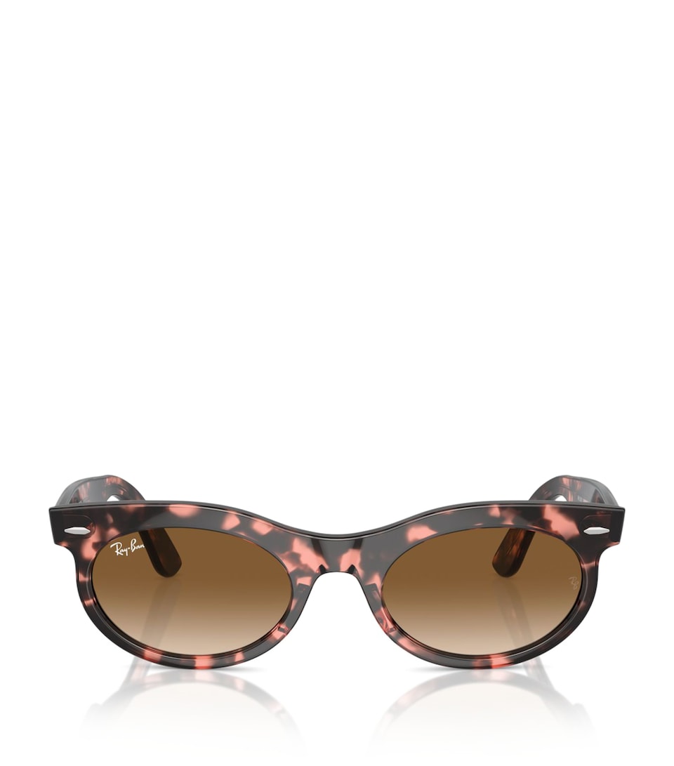 RB2242 Wayfarer Sunglasses