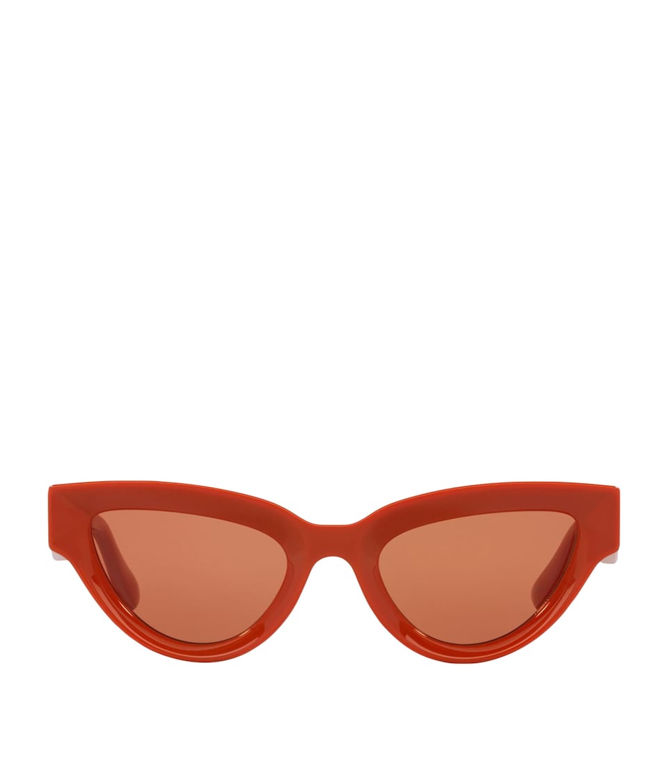 Injected 06J000413 Sunglasses