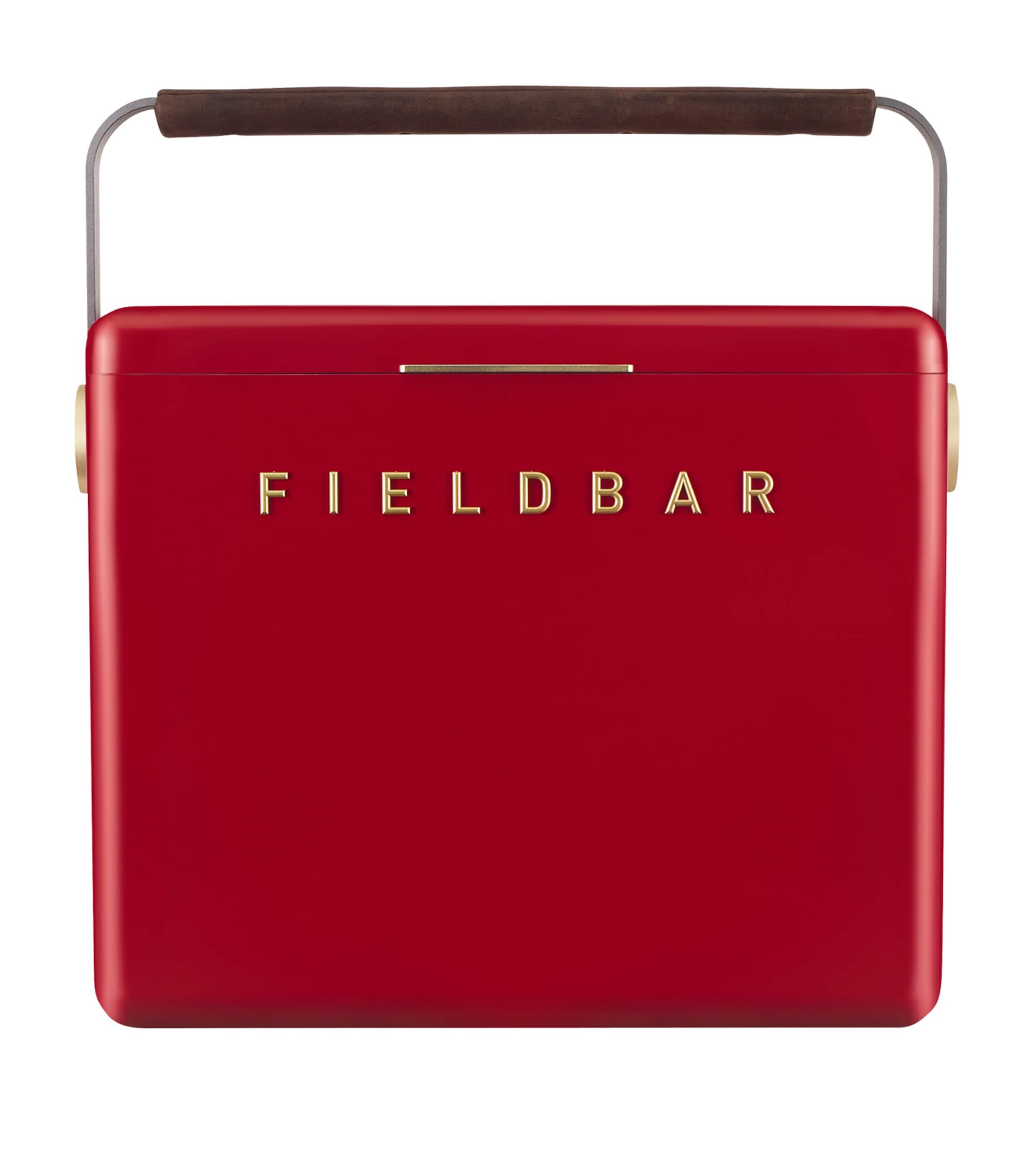 Gin Trunk Cooler Box (24L)