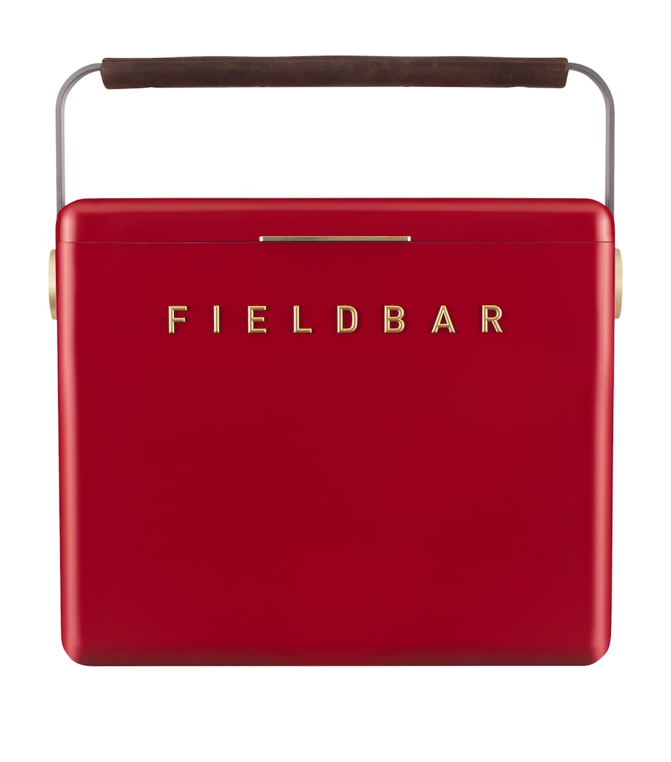 Gin Trunk Cooler Box (24L)