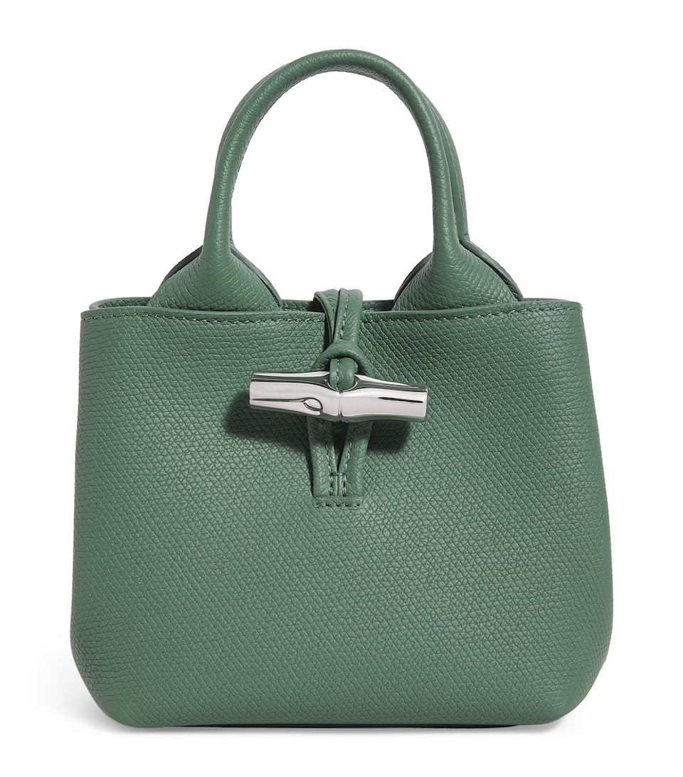 Extra Small Leather Le Roseau Top-Handle Bag