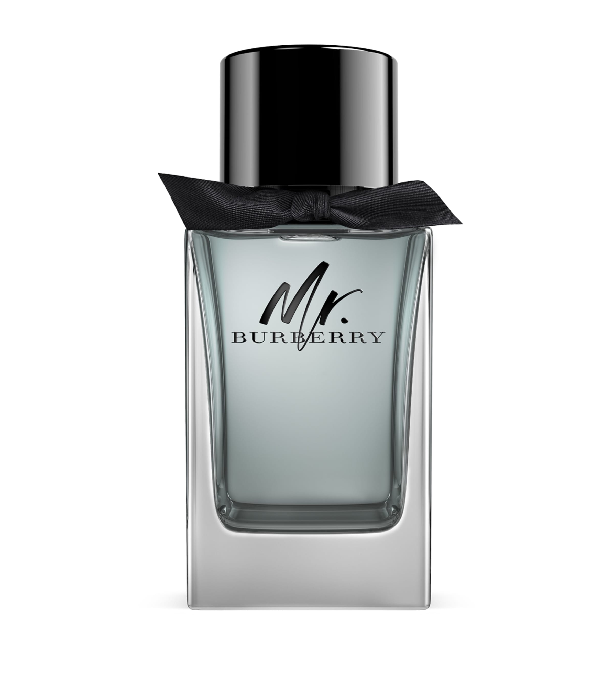 Mr. Burberry Eau de Toilette (100ml)