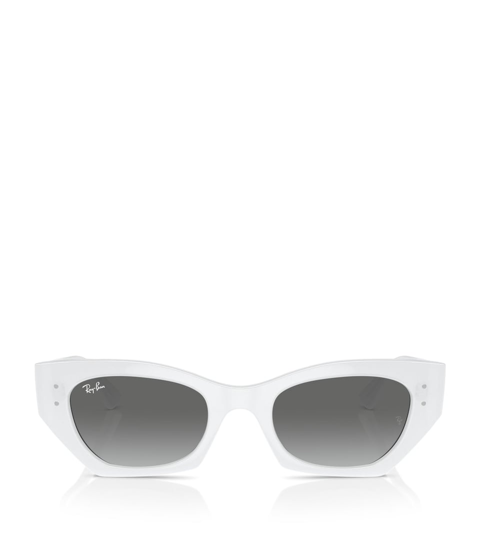 RB4430 Zena Sunglasses