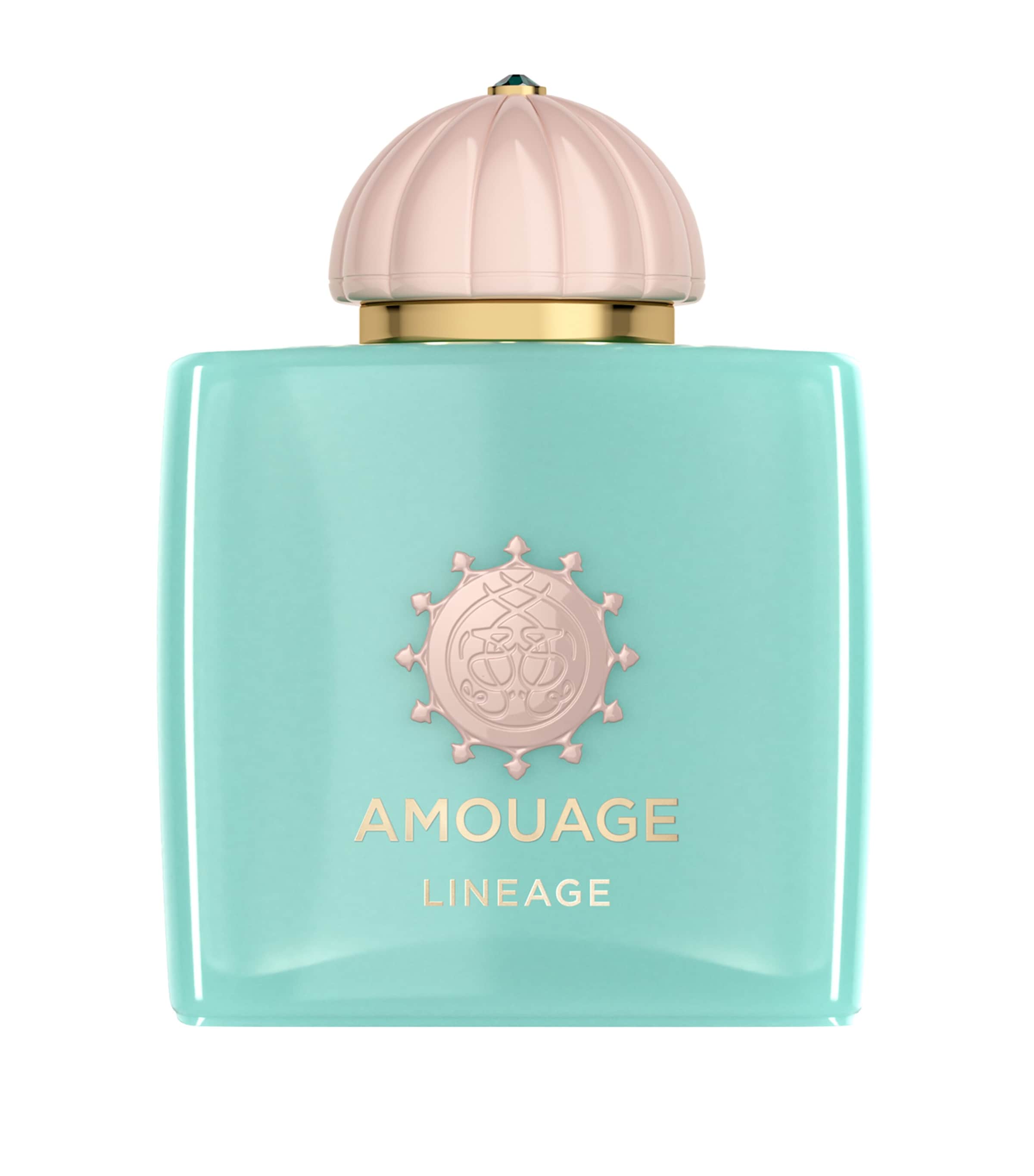 Amouage Lineage Eau de Parfum (100ml)