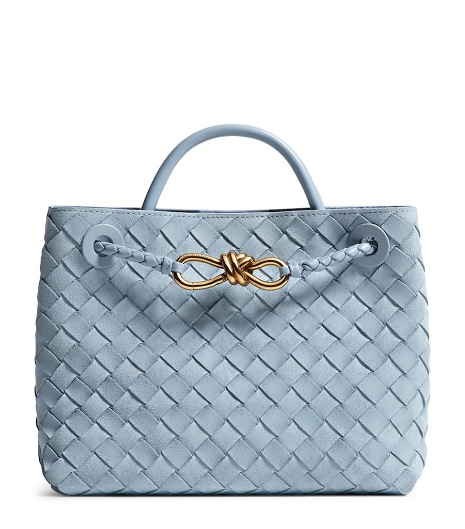 Bottega Veneta Small Suede Andiamo Top-Handle Bag