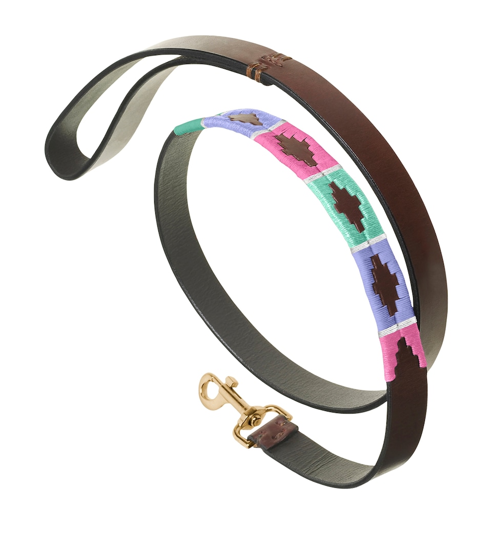 PAMPEANO Leather Verano Dog Lead Pink Purple Blue