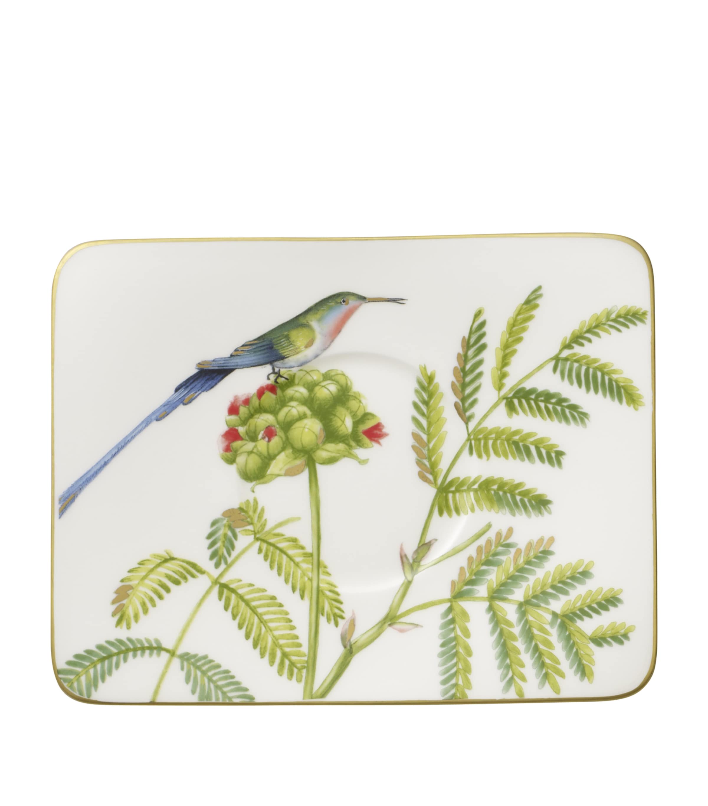 Amazonia Coffee Saucer