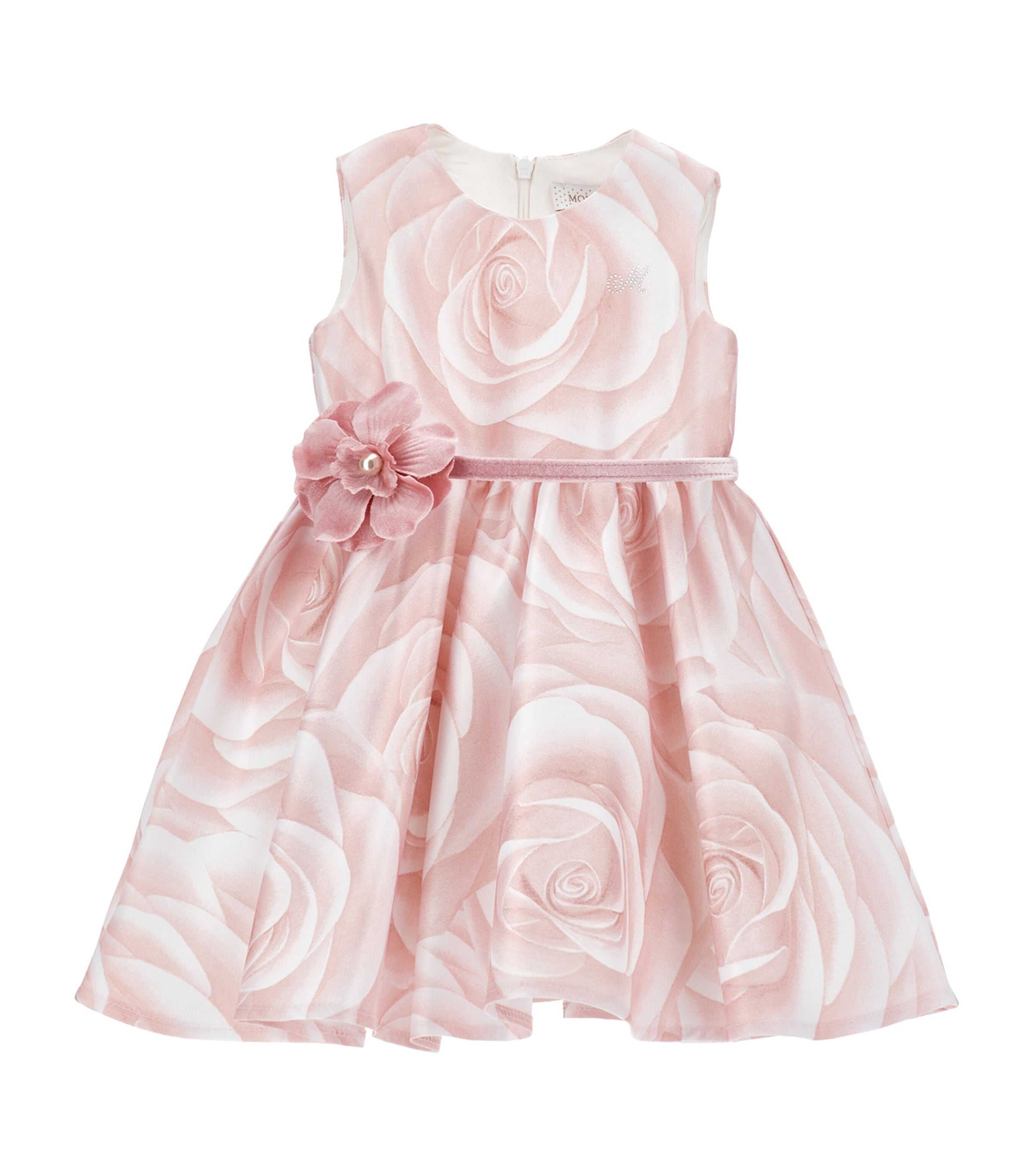 Rose Print Dress (3-36 Months)