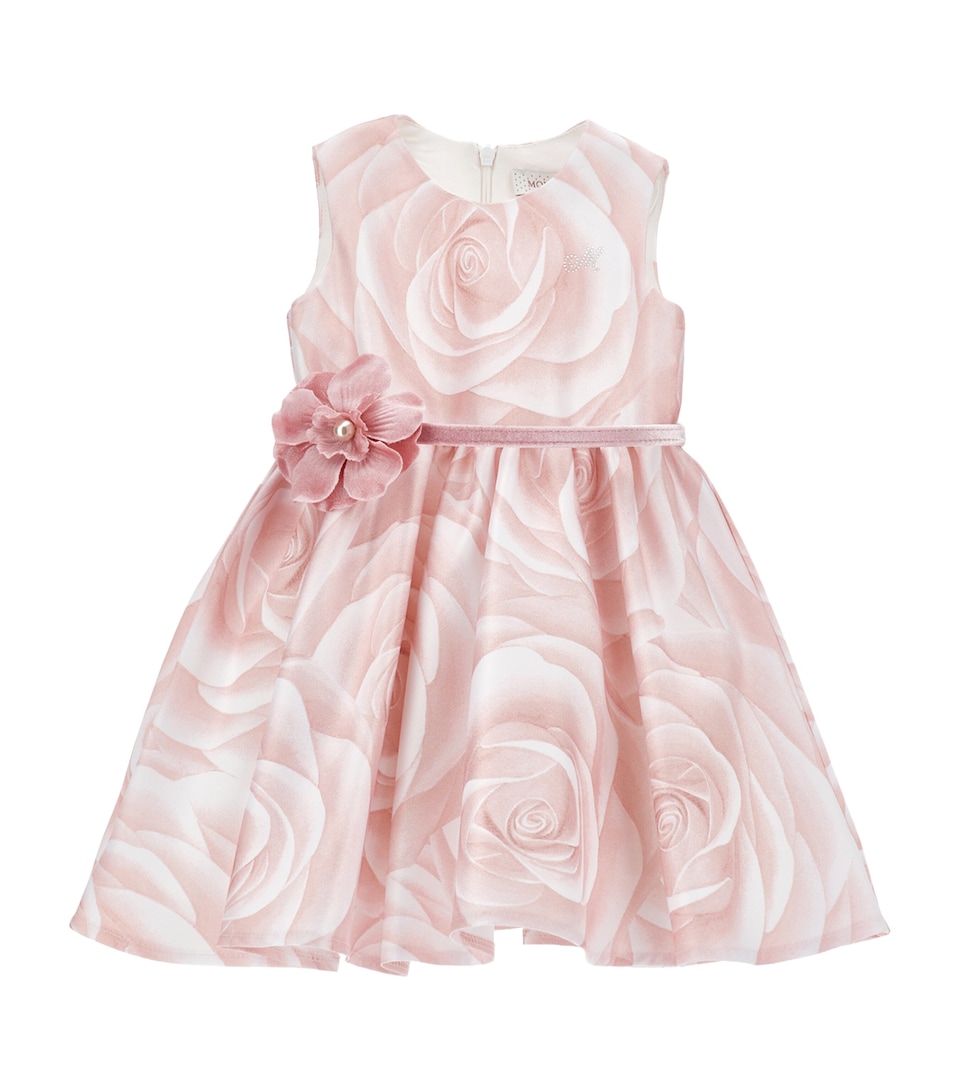 Rose Print Dress (3-36 Months)