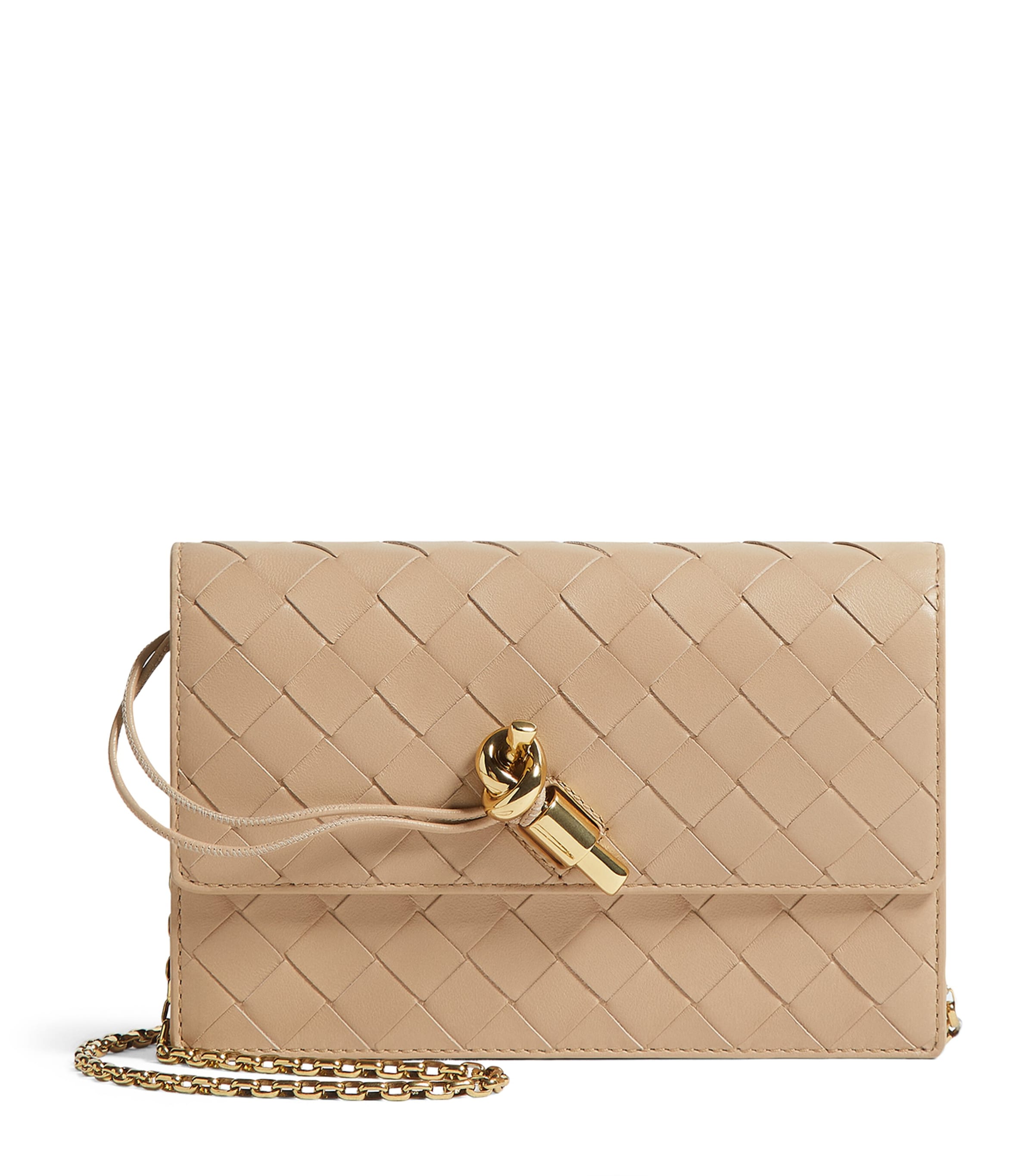 Bottega Veneta Leather Andiamo Chain Wallet