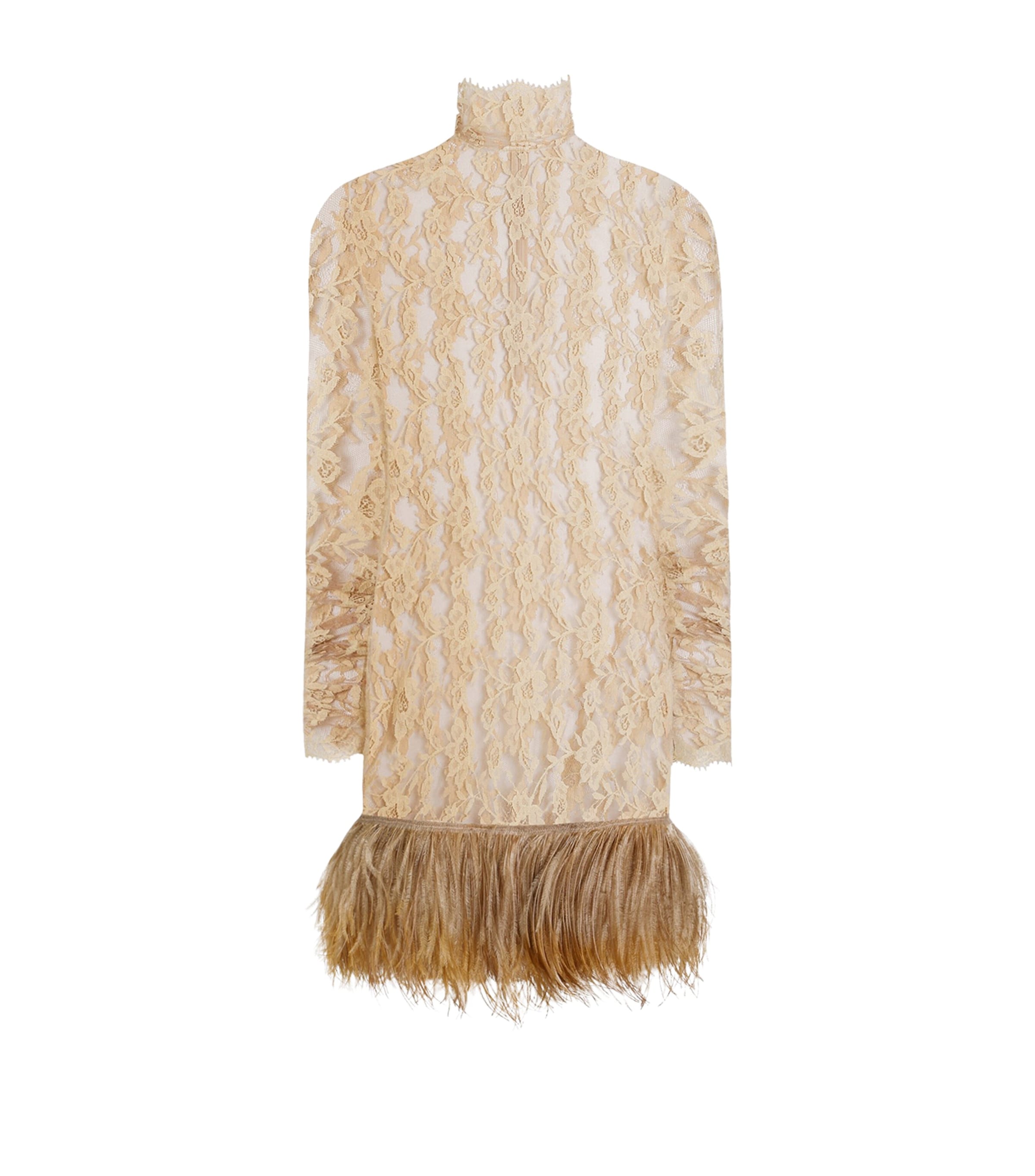 Dolce&Gabbana Womens Lace Feather-Trim Mini Dress Ecru