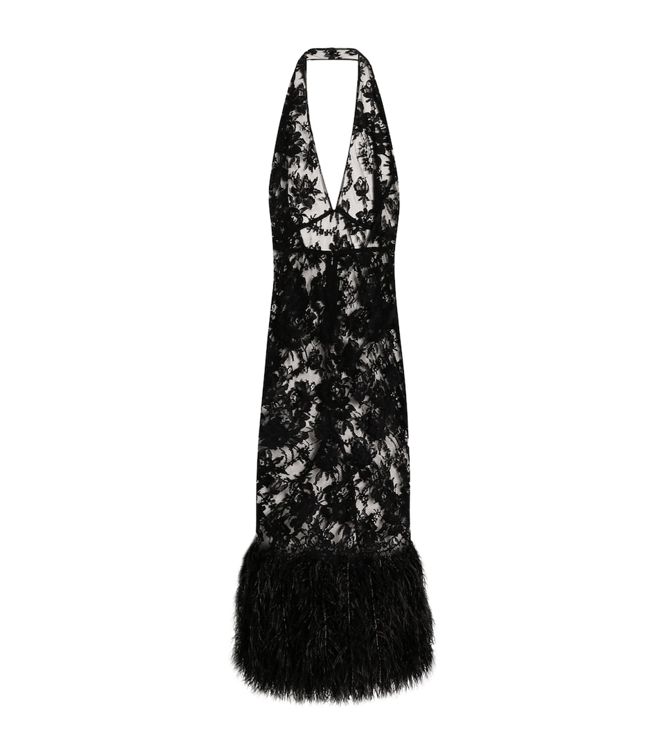Cotton-Blend Lace Feather-Trimmed Maxi Dress