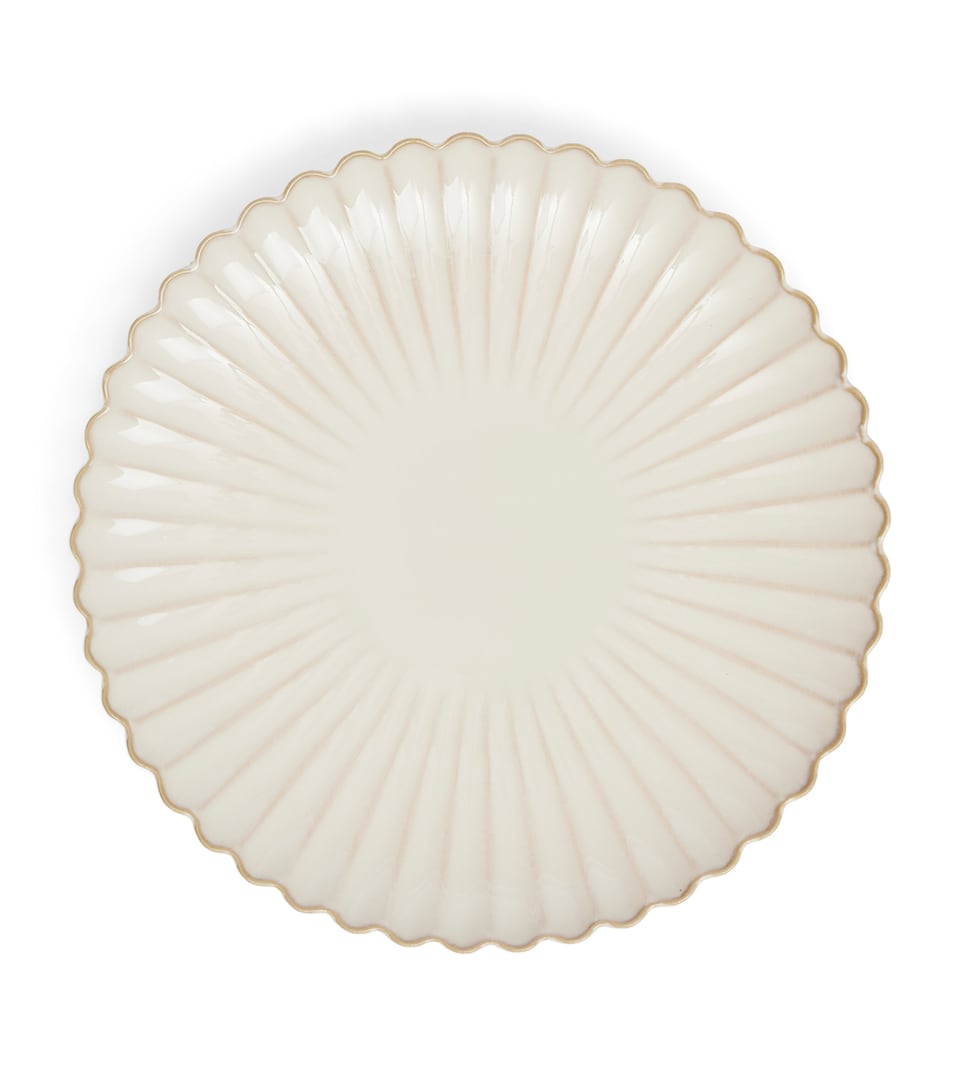 Set of 4 Shell Dinner Plates (26cm)
