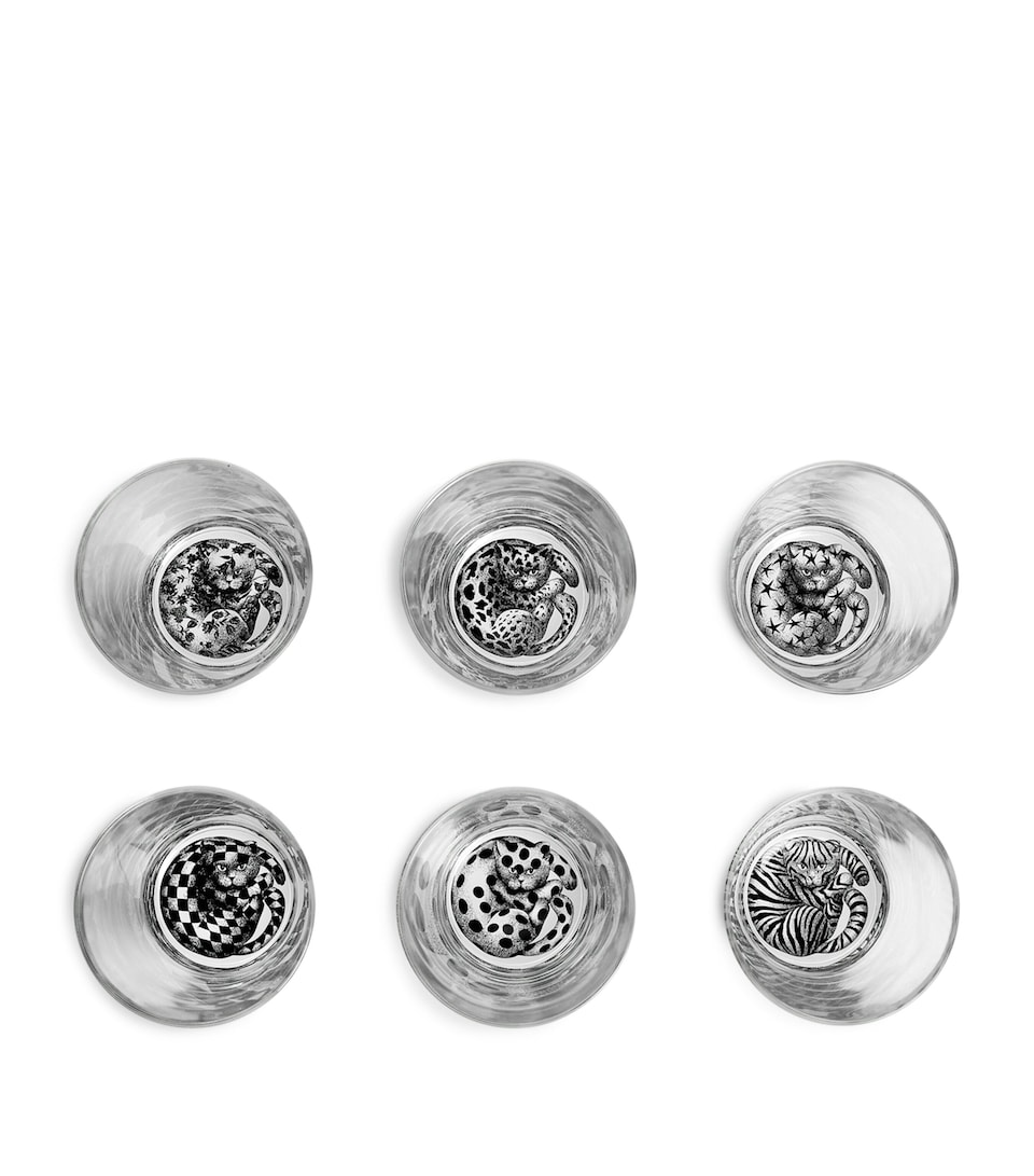 Set of 6 High Fidelity Tumblers