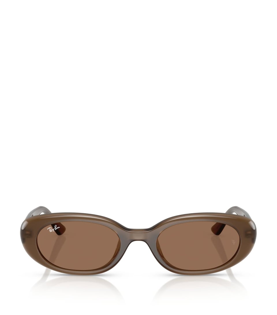Ray-Ban Injected Oval Sunglasses