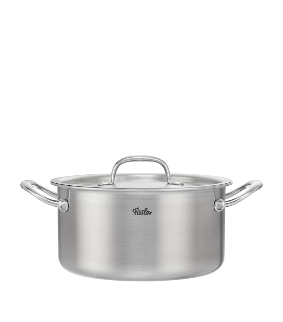 Stainless Steel M5 Pro-Ply Stew Pot (24cm)