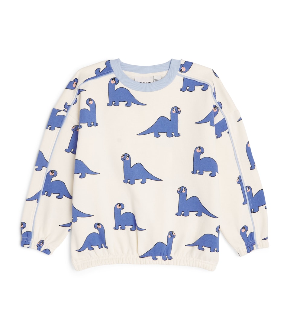 Organic Cotton Dino Sweatshirt (3-11 Years)