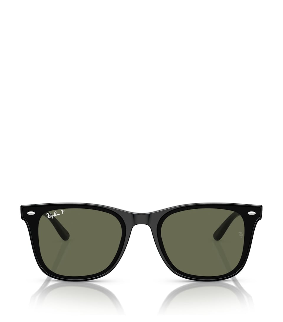Injected RB4420 Sunglasses