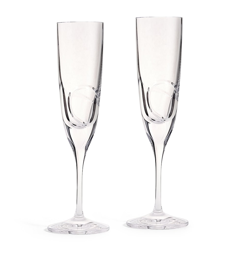 Wedgwood x Vera Wang Luxe Graphite Champagne Flutes (Set of 2) Clear