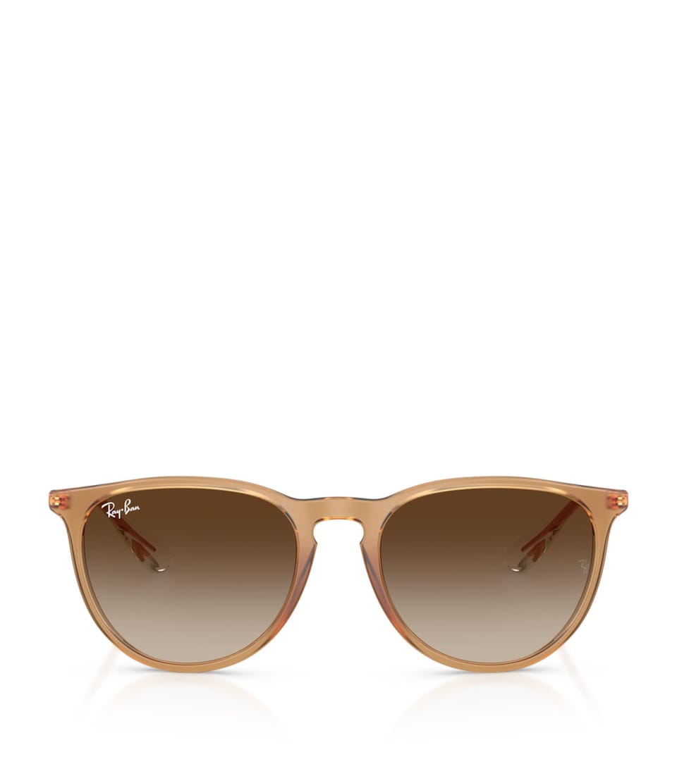 RB4171 Erika Classic Sunglasses