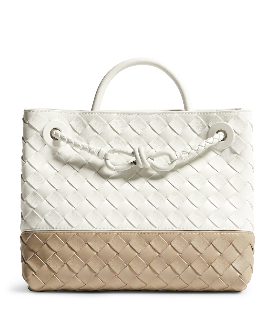 Bottega Veneta Small Leather Andiamo Top-Handle Bag