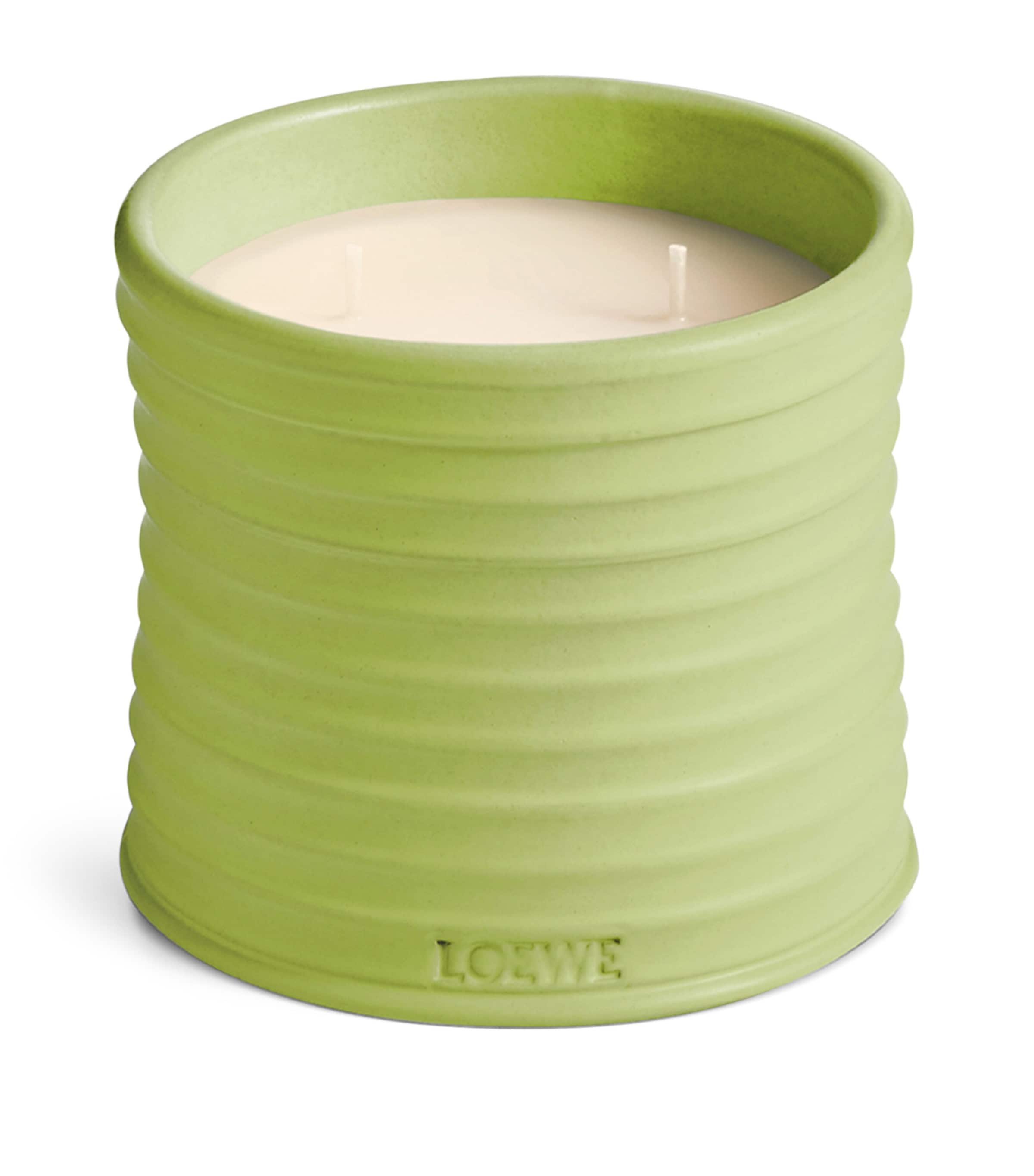 LOEWE Small Dendrochilum Orchid Scented Candle | Harrods US