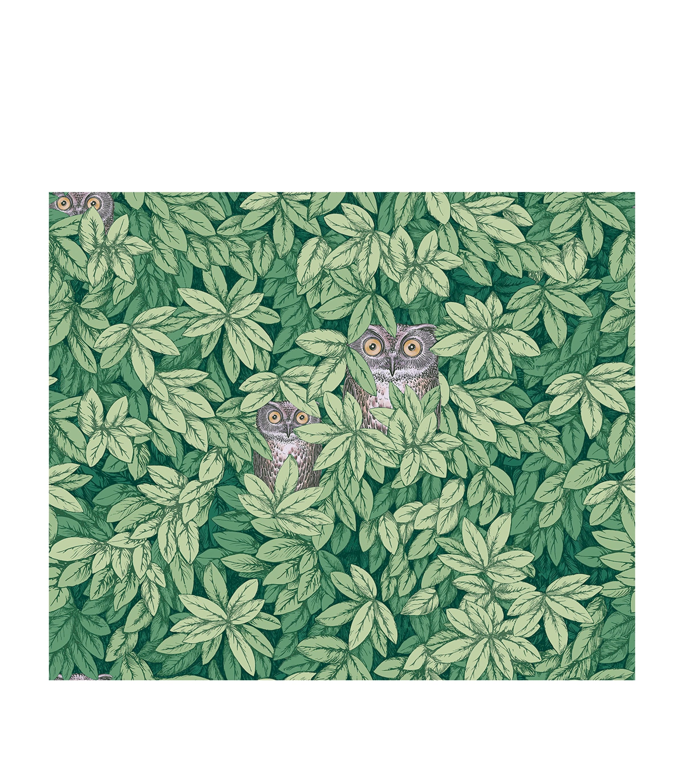 Cole & Son x Fornasetti Foglie e Civette Wallpaper Roll Forest Green