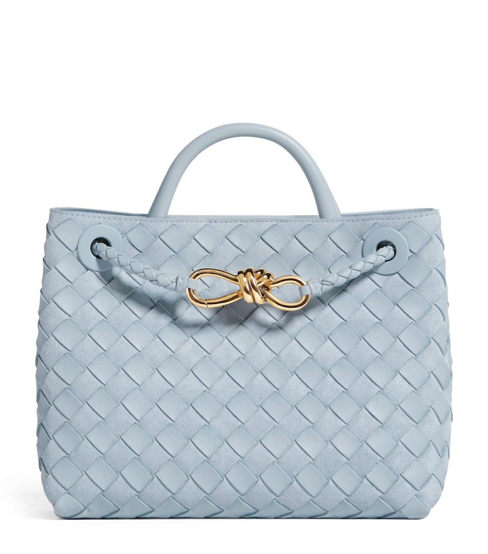 Bottega Veneta Small Suede-Goatskin Andiamo Top-Handle Bag