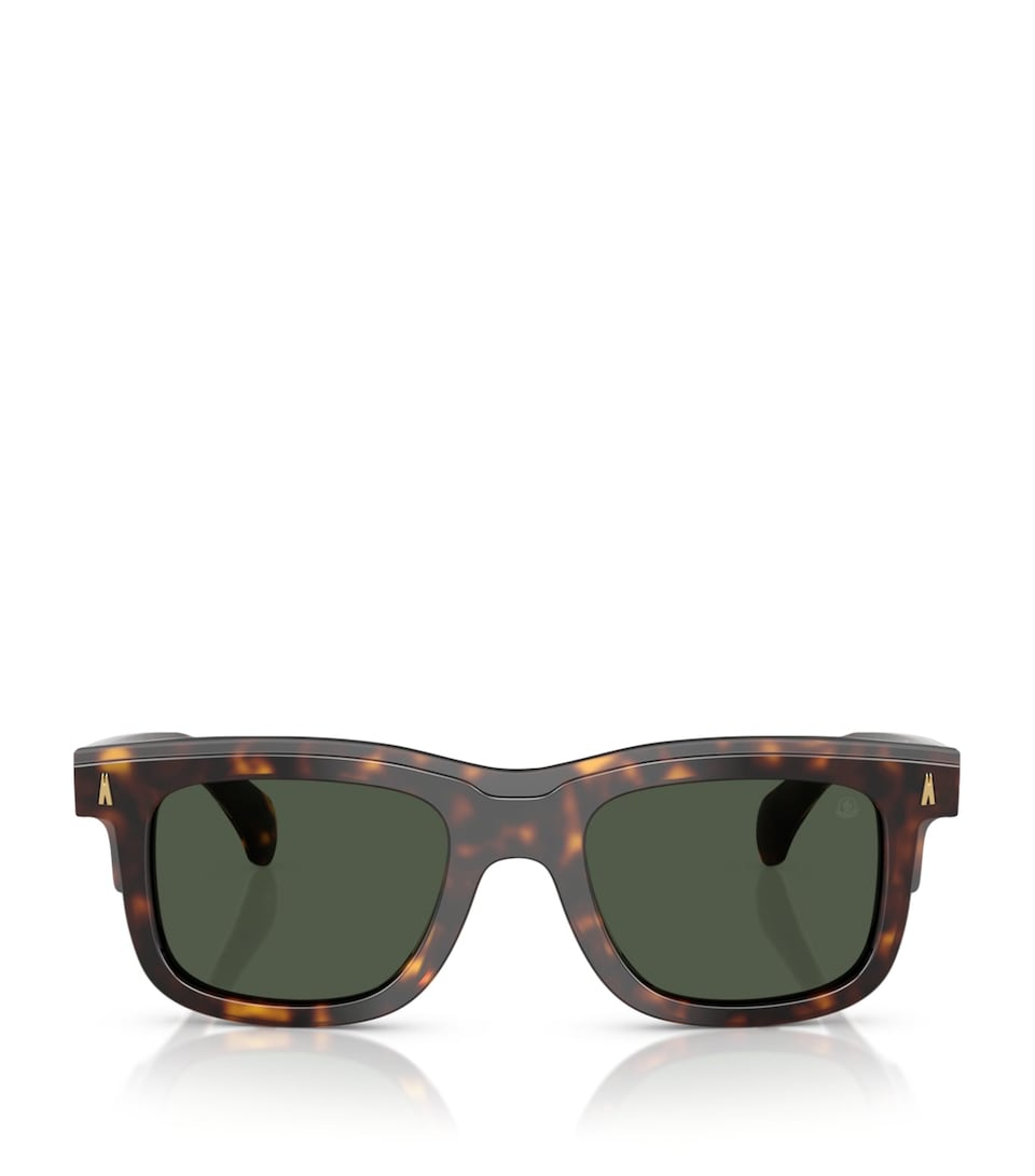 Moncler Acetate Claro ME6004 Sunglasses