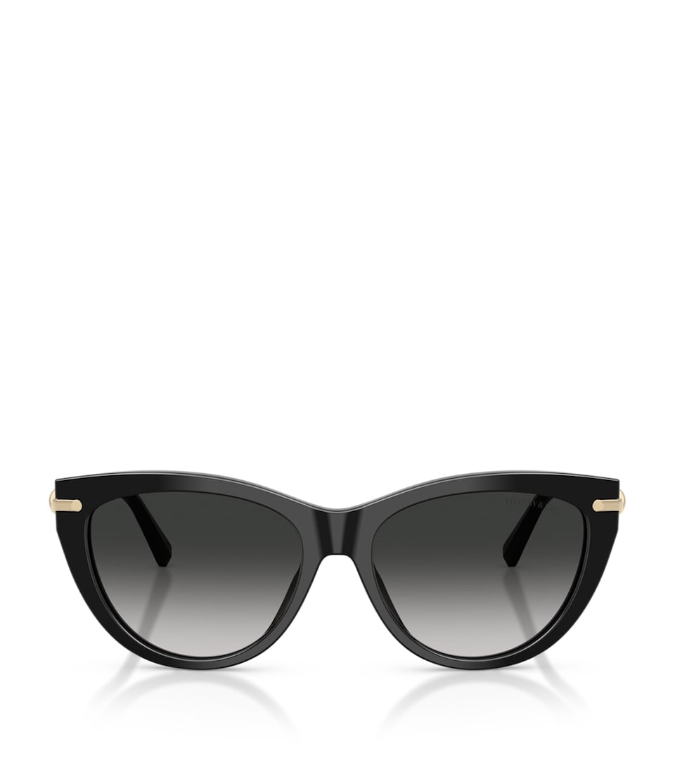 Acetate Cat Eye TF4253 Sunglasses