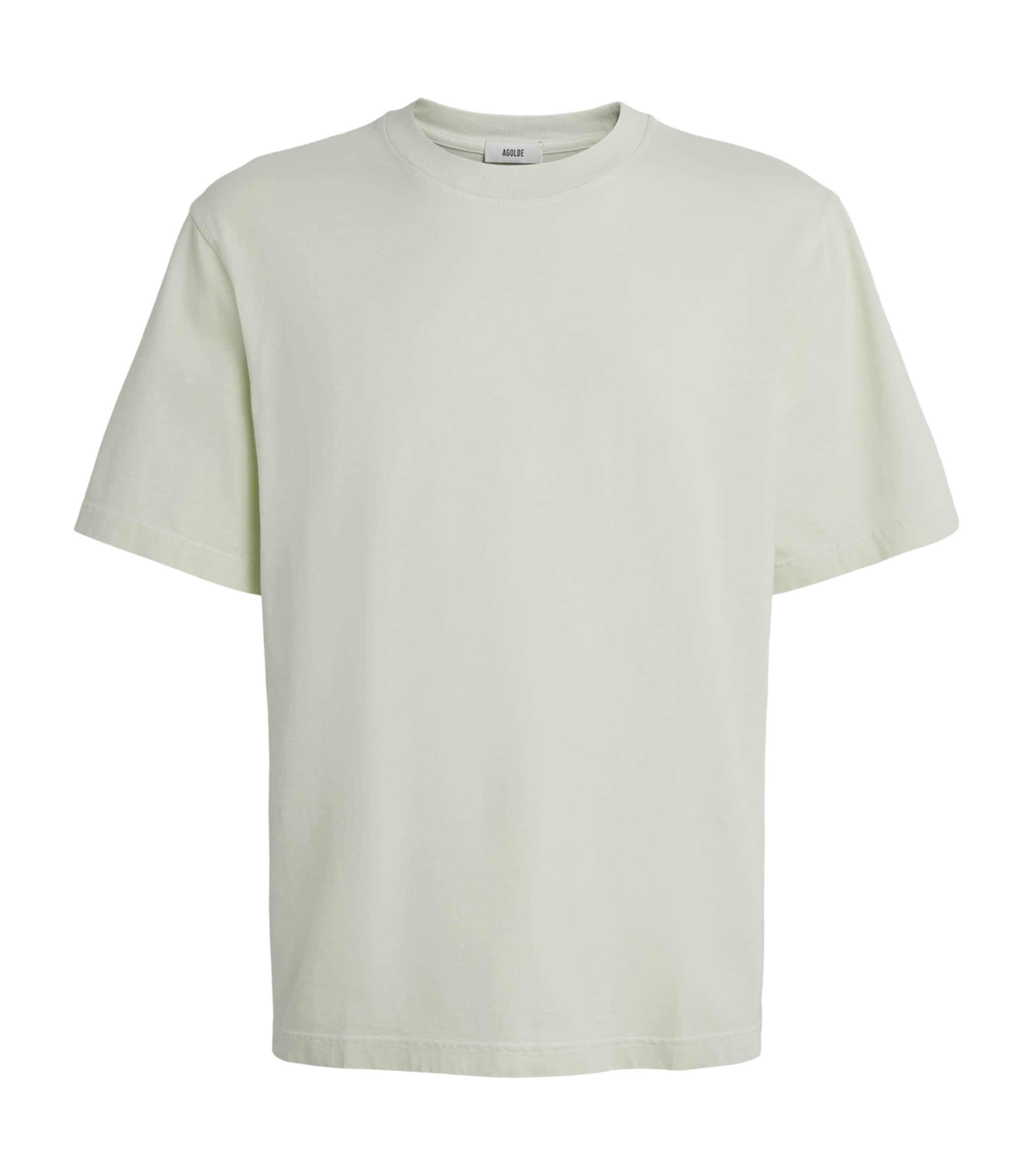 AGOLDE Mens Cotton Asha T-Shirt Mint Crm Seafoam Grn