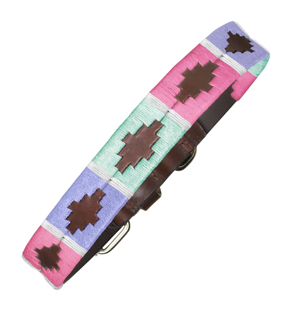 PAMPEANO Leather Verano Dog Collar (Small) Pink Purple Blue