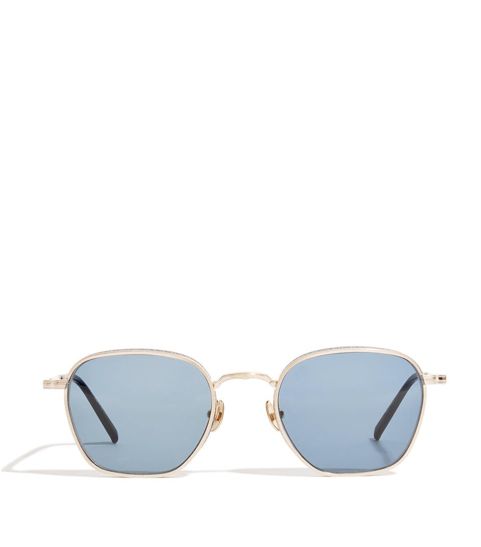 Titanium Hexagonal Sunglasses