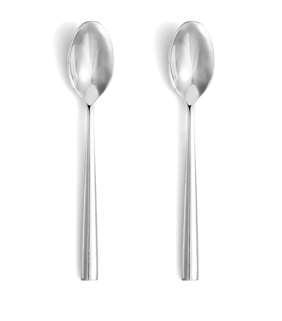 Stainless Steel Teaspoons (Set of 2)