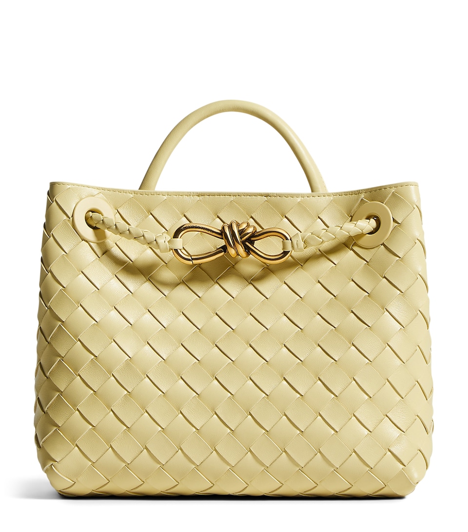 Bottega Veneta Small Leather Andiamo Top-Handle Bag