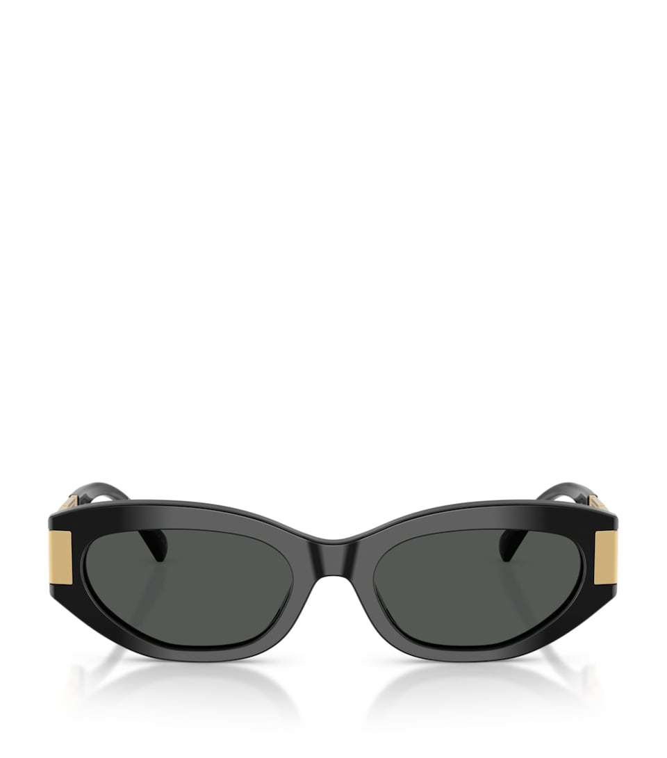 Acetate VE4501 Cat Eye Sunglasses