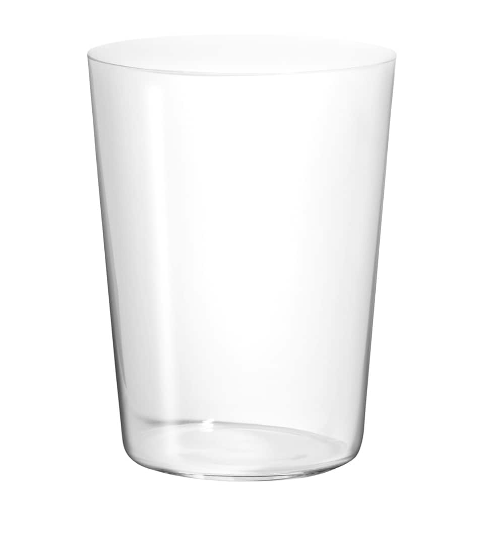 Richard Brendon Large Crystal Tumblers (Set of 4) Clear