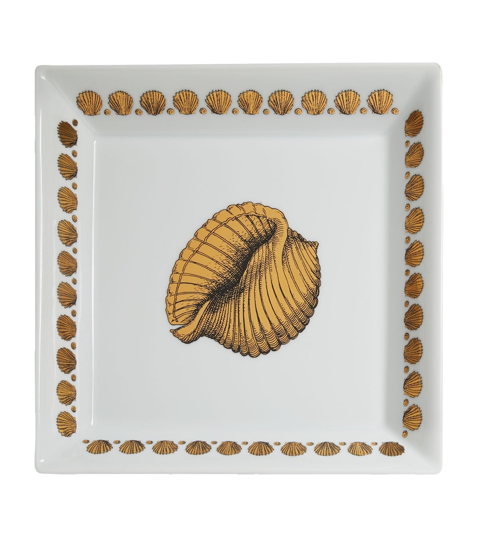 Square Giro di Conchiglie Plate (20cm x 20cm)