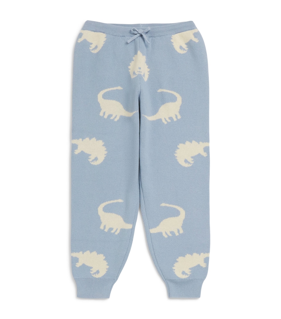 Dinosaur Print Trousers (5-10 Years)